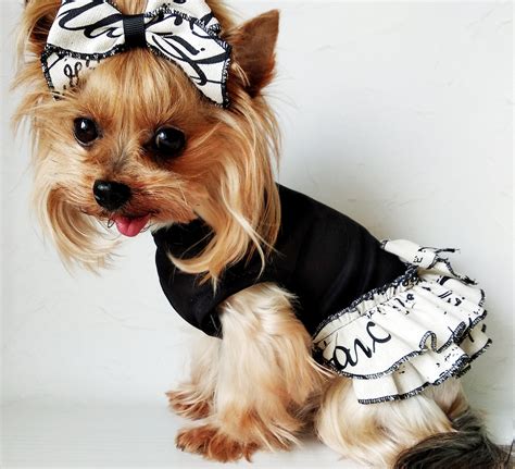 designer clothes for small dogs